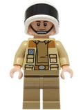 Minifig sw1328